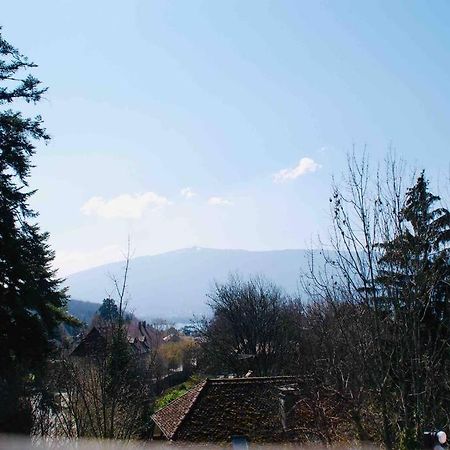 Maison 3 Chambres Au Lac D'Annecy, 30Min La Clusaz Мантон-Сен-Бернар Экстерьер фото