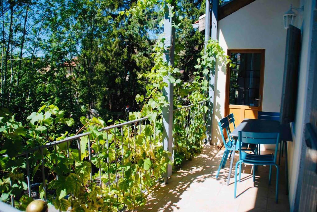 Maison 3 Chambres Au Lac D'Annecy, 30Min La Clusaz Мантон-Сен-Бернар Экстерьер фото