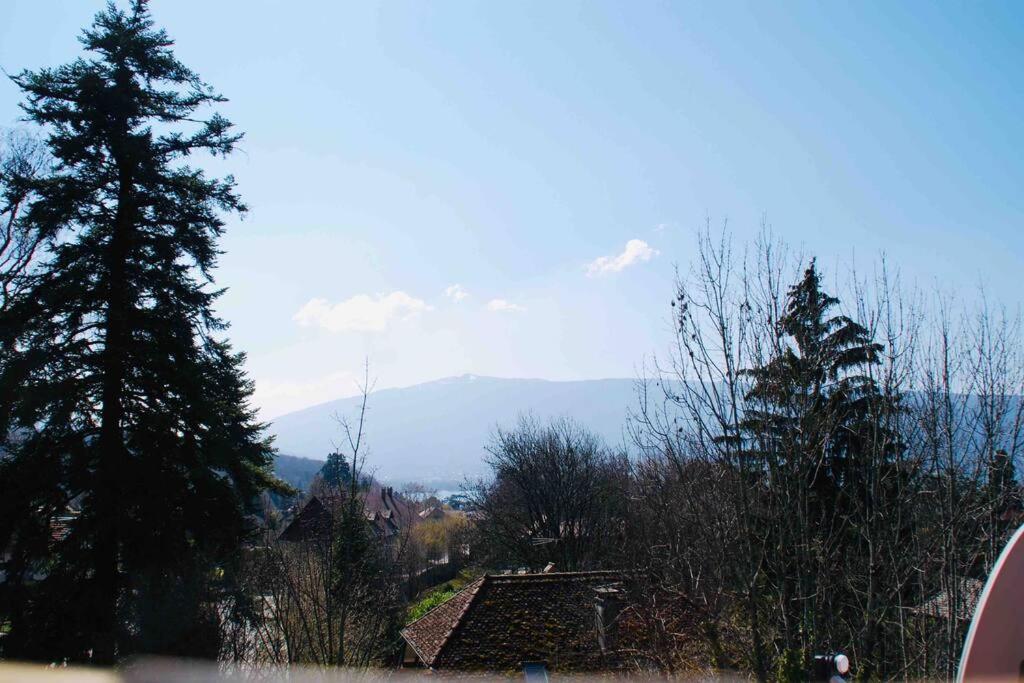 Maison 3 Chambres Au Lac D'Annecy, 30Min La Clusaz Мантон-Сен-Бернар Экстерьер фото