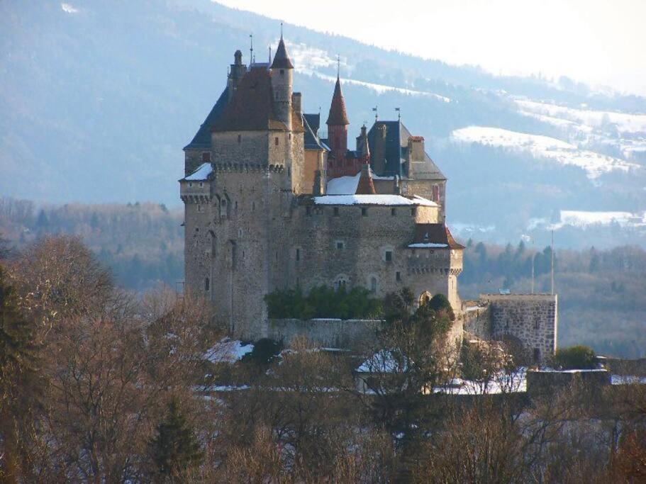 Maison 3 Chambres Au Lac D'Annecy, 30Min La Clusaz Мантон-Сен-Бернар Экстерьер фото