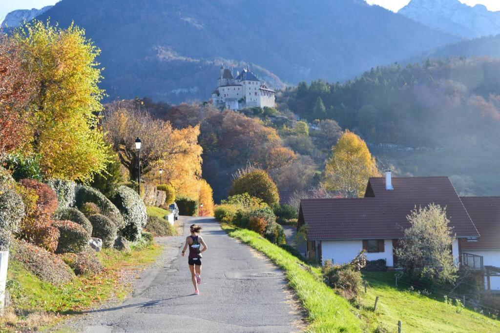 Maison 3 Chambres Au Lac D'Annecy, 30Min La Clusaz Мантон-Сен-Бернар Экстерьер фото